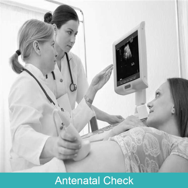 Antenatal Check